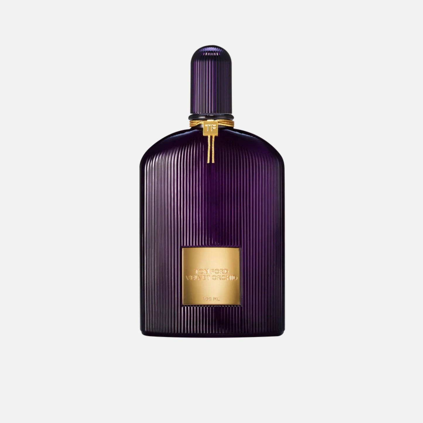 Velvet Orchid