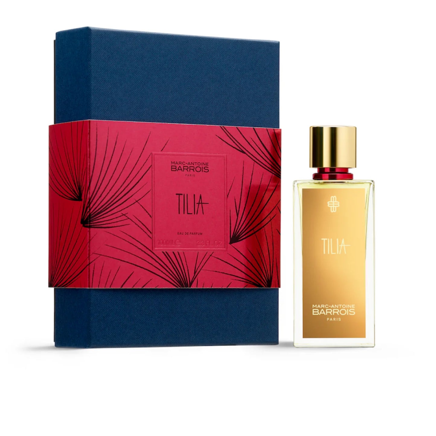 Tilia