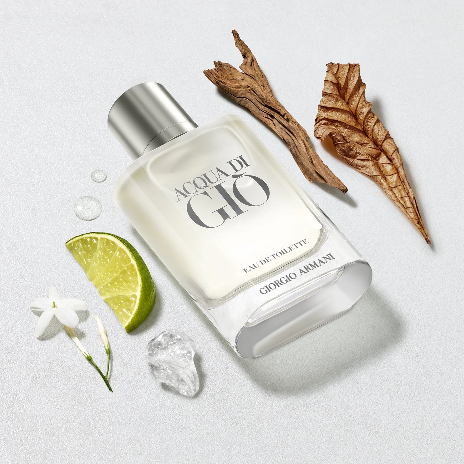 Armani Acqua di Giò Men's Eau de Toilette - 100ml