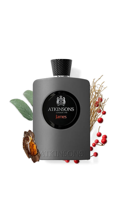 Atkinsons James Men's Eau de Parfum - 100ml – alternate view