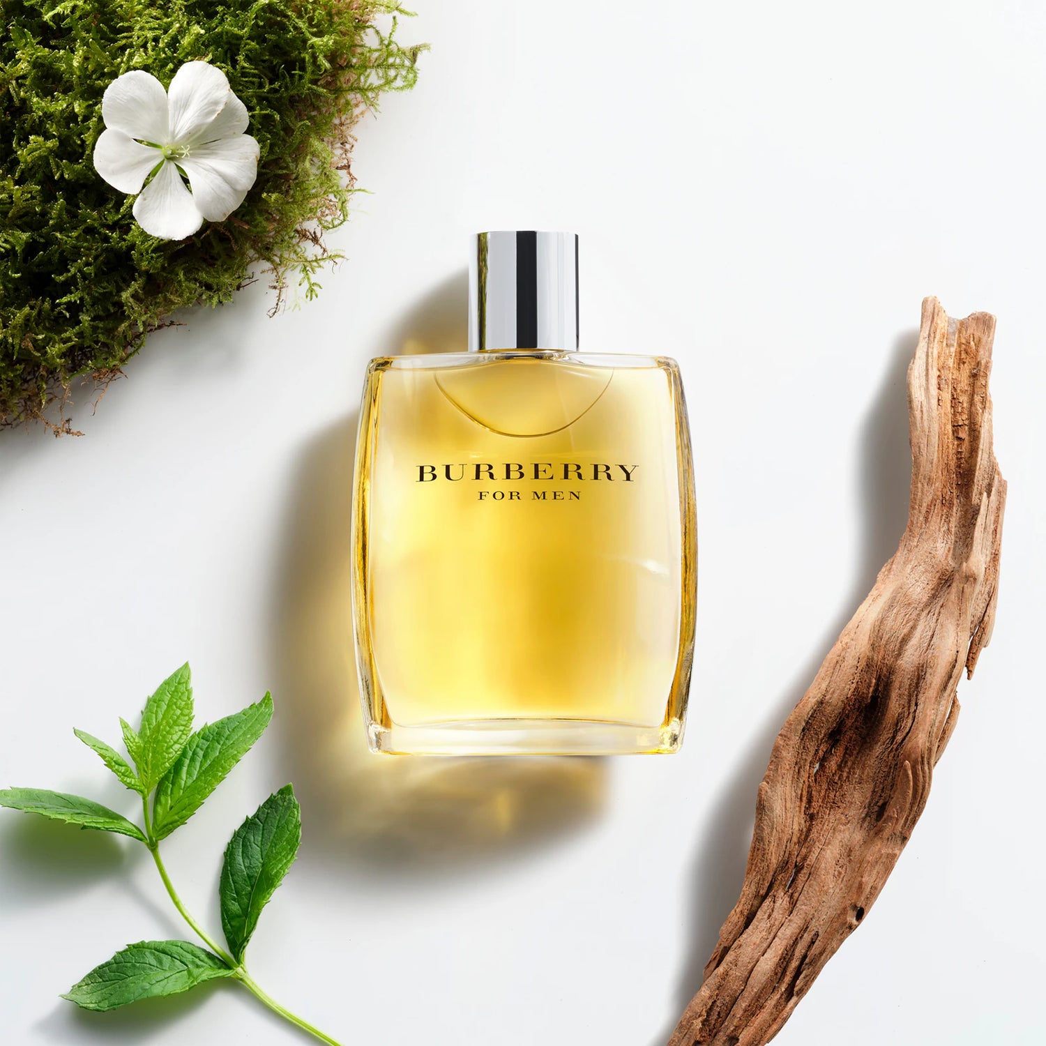 Burberry For Men Men's Eau de Toilette - 100ml