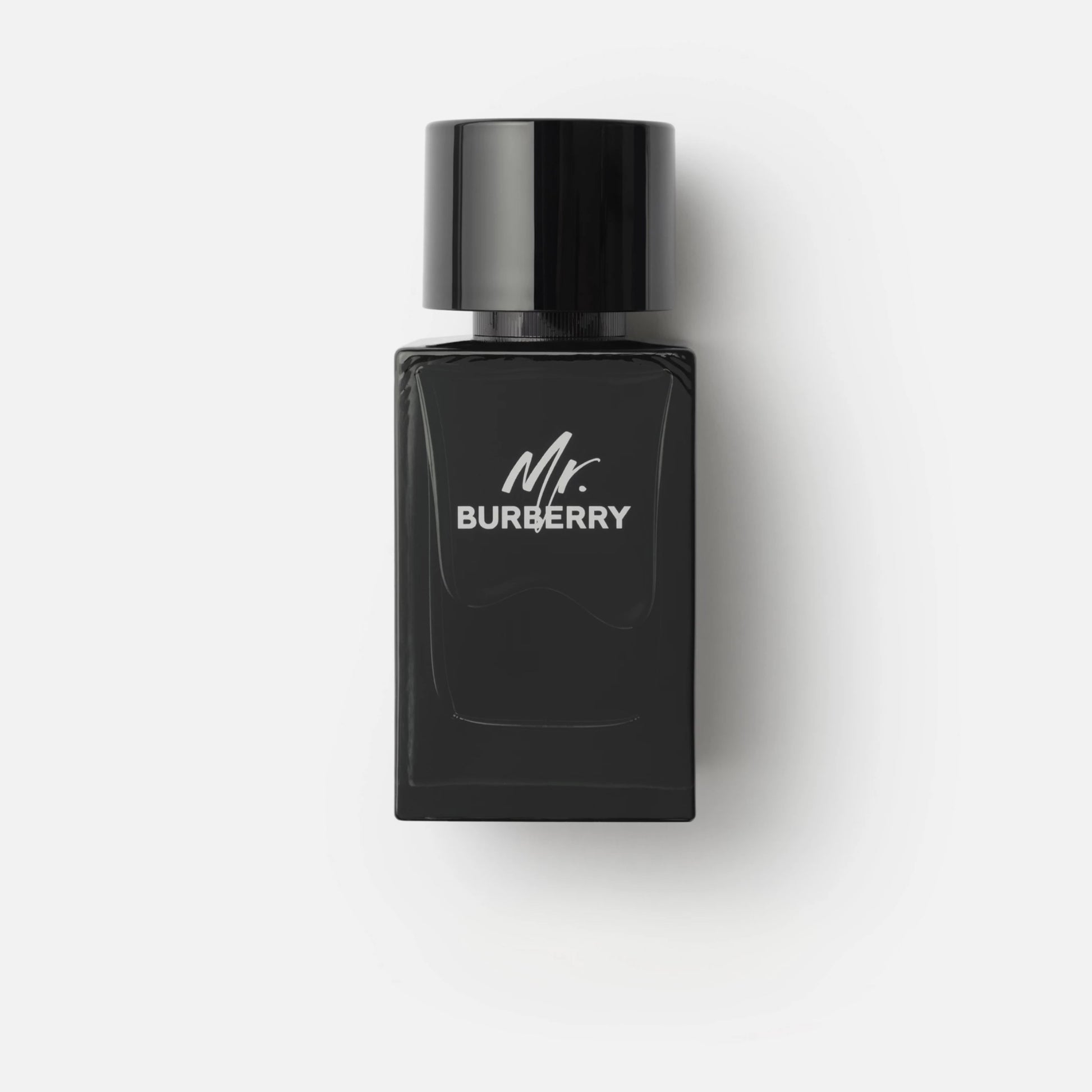 Burberry Mr. Burberry Men's Eau de Parfum - 100ml – bottle