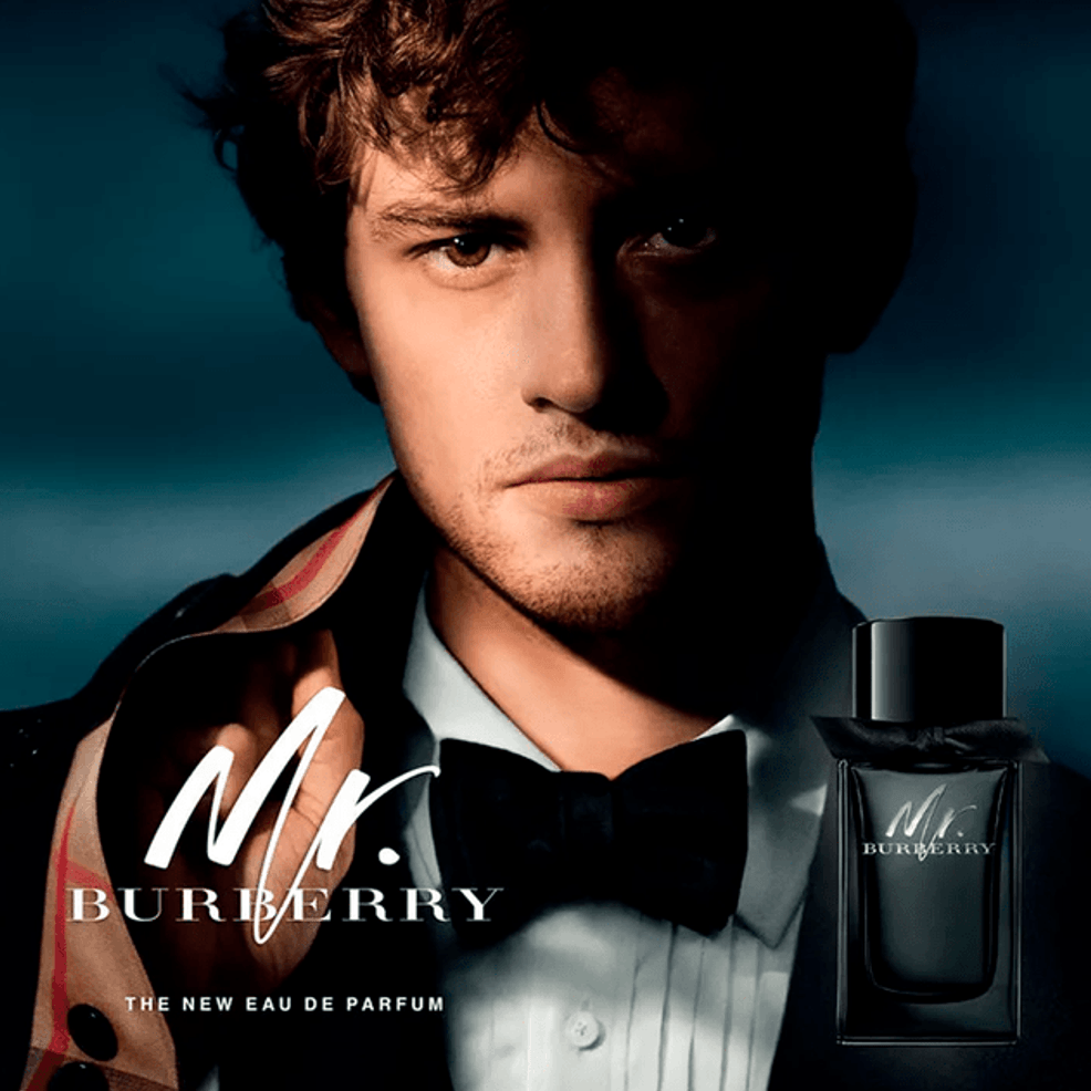 Burberry Mr. Burberry Men's Eau de Parfum - 100ml