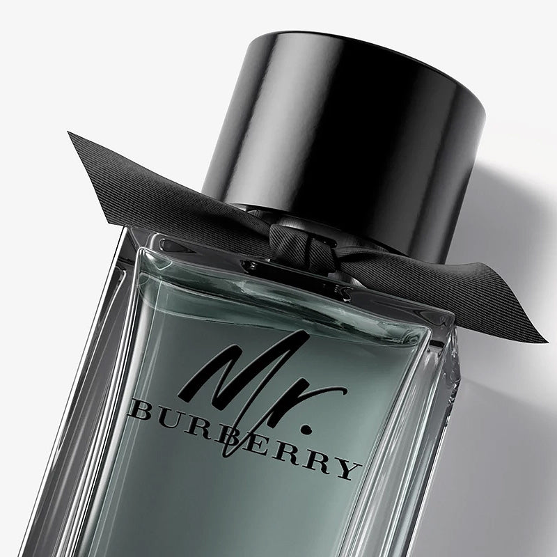 Burberry Mr. Burberry Men's Eau de Toilette - 100ml