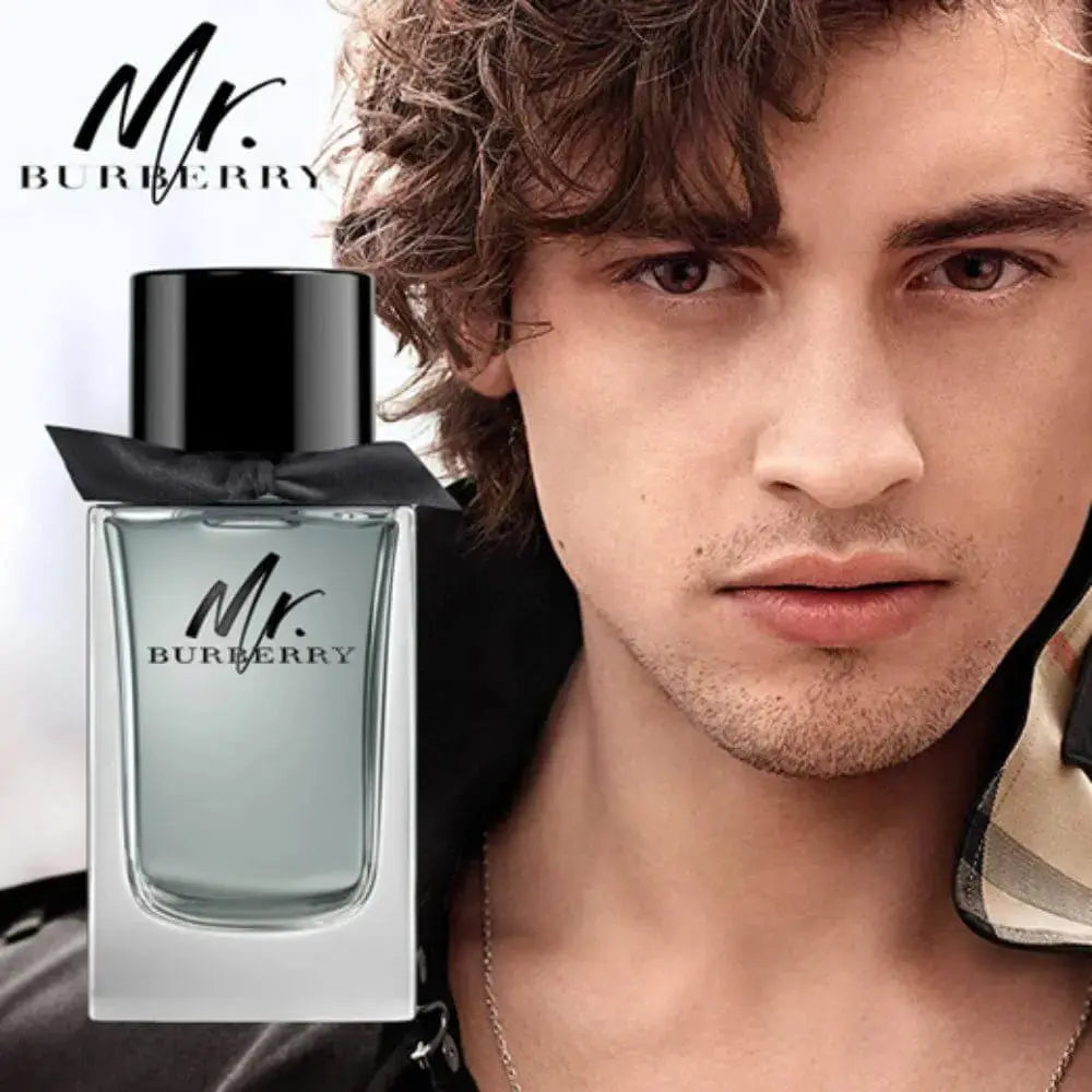 Burberry Mr. Burberry Men's Eau de Toilette - 100ml