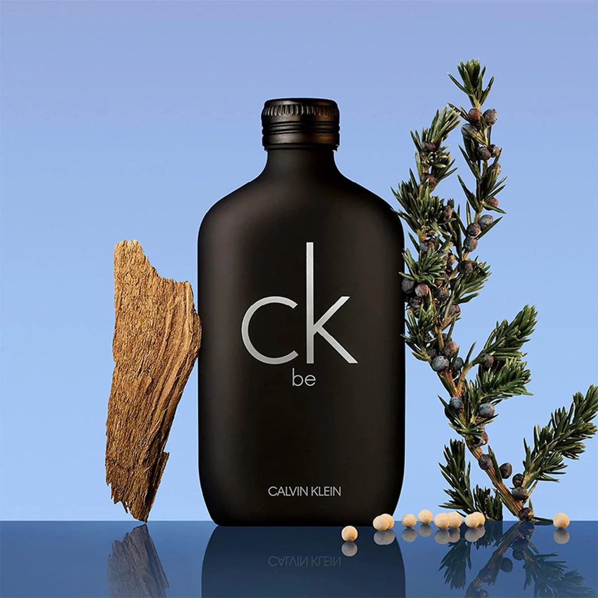 Calvin Klein CK Be Unisex Eau de Toilette - 100ml