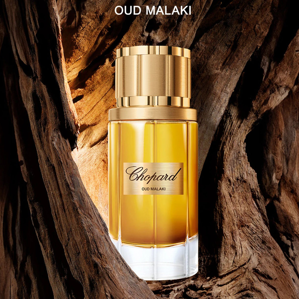 Chopard Oud Malaki Unisex Eau de Parfum - 80ml