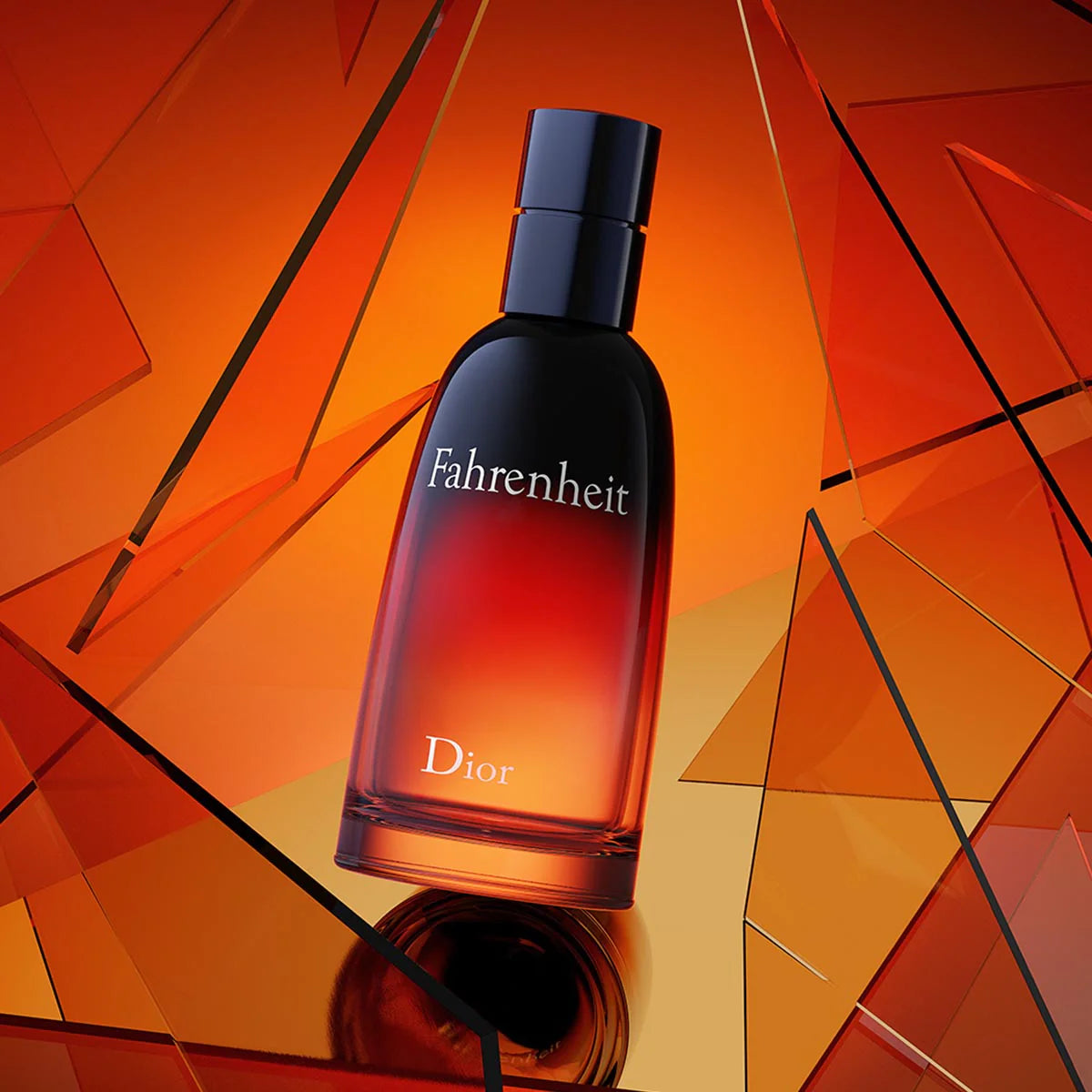 Dior Fahrenheit Men's Eau de Toilette - 100ml