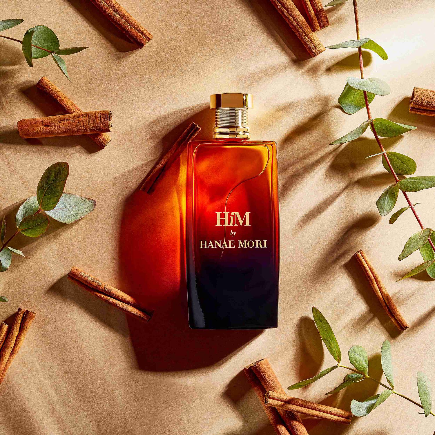 Hanae Mori HiM Men's Eau de Parfum - 100ml