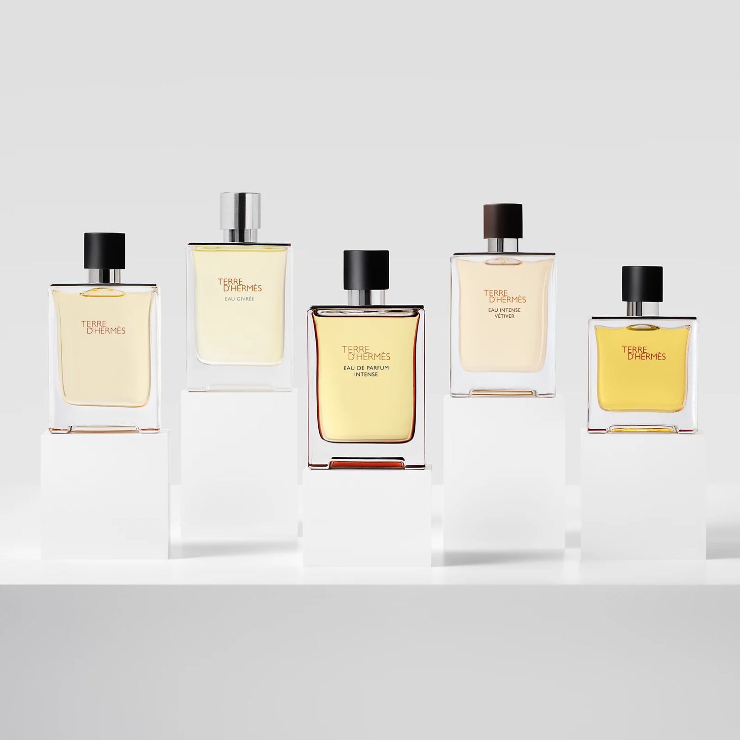 Hermès Terre d'Hermès Eau Givree Men's Eau de Parfum - 100ml