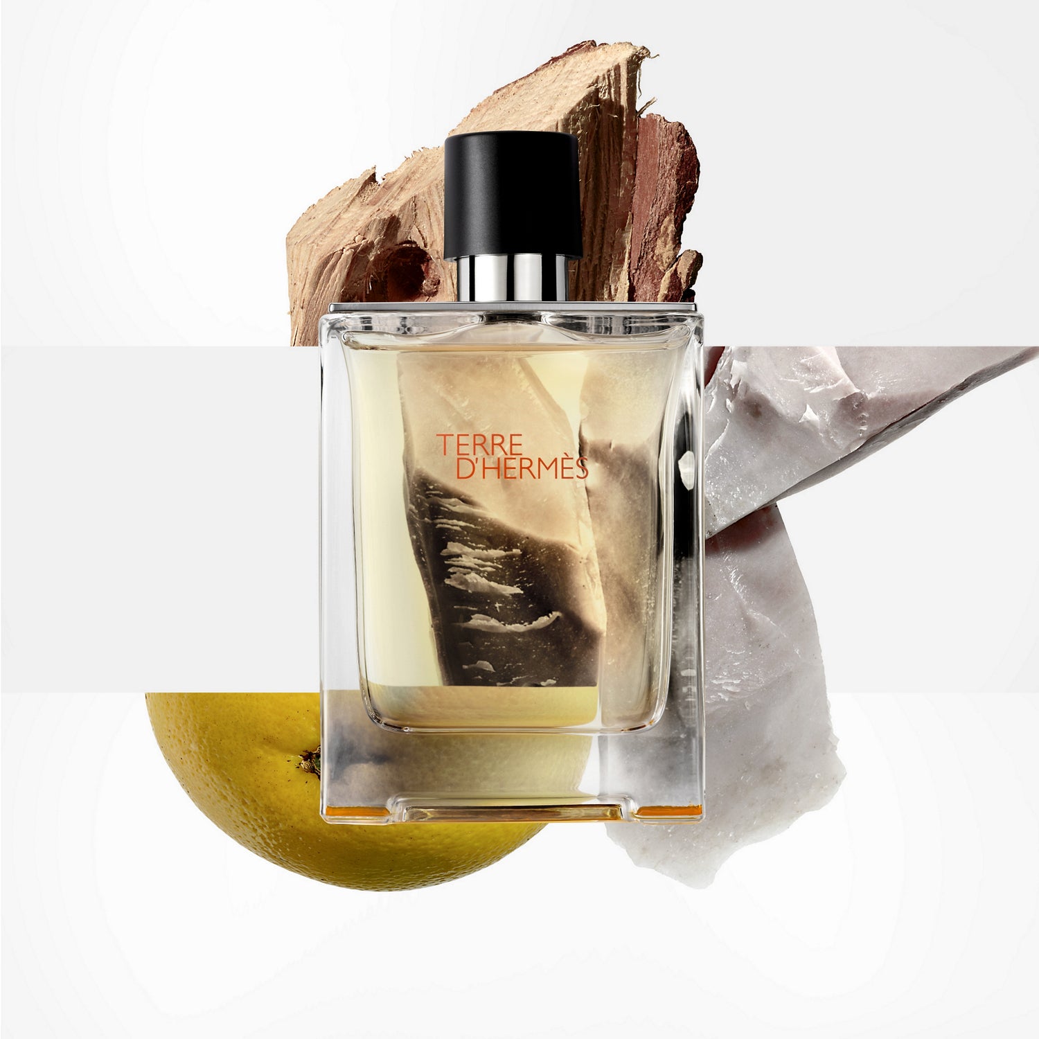 Hermès Terre d'Hermès Men's Eau de Toilette - 100ml