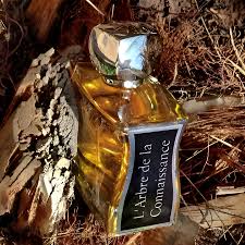 Jovoy L'Arbre de la Connaissance Unisex Eau de Parfum - 100ml