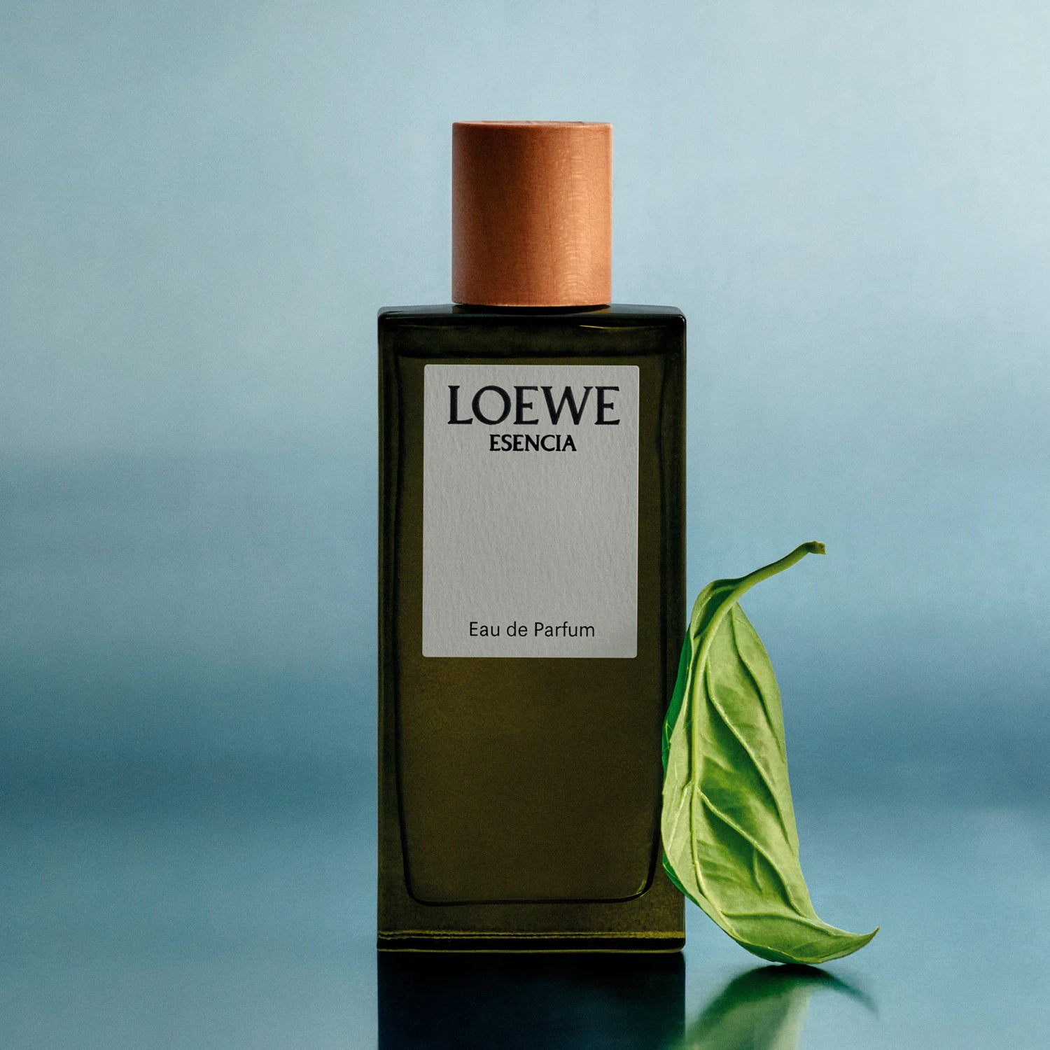 Loewe Esencia Men's Eau de Parfum - 100ml