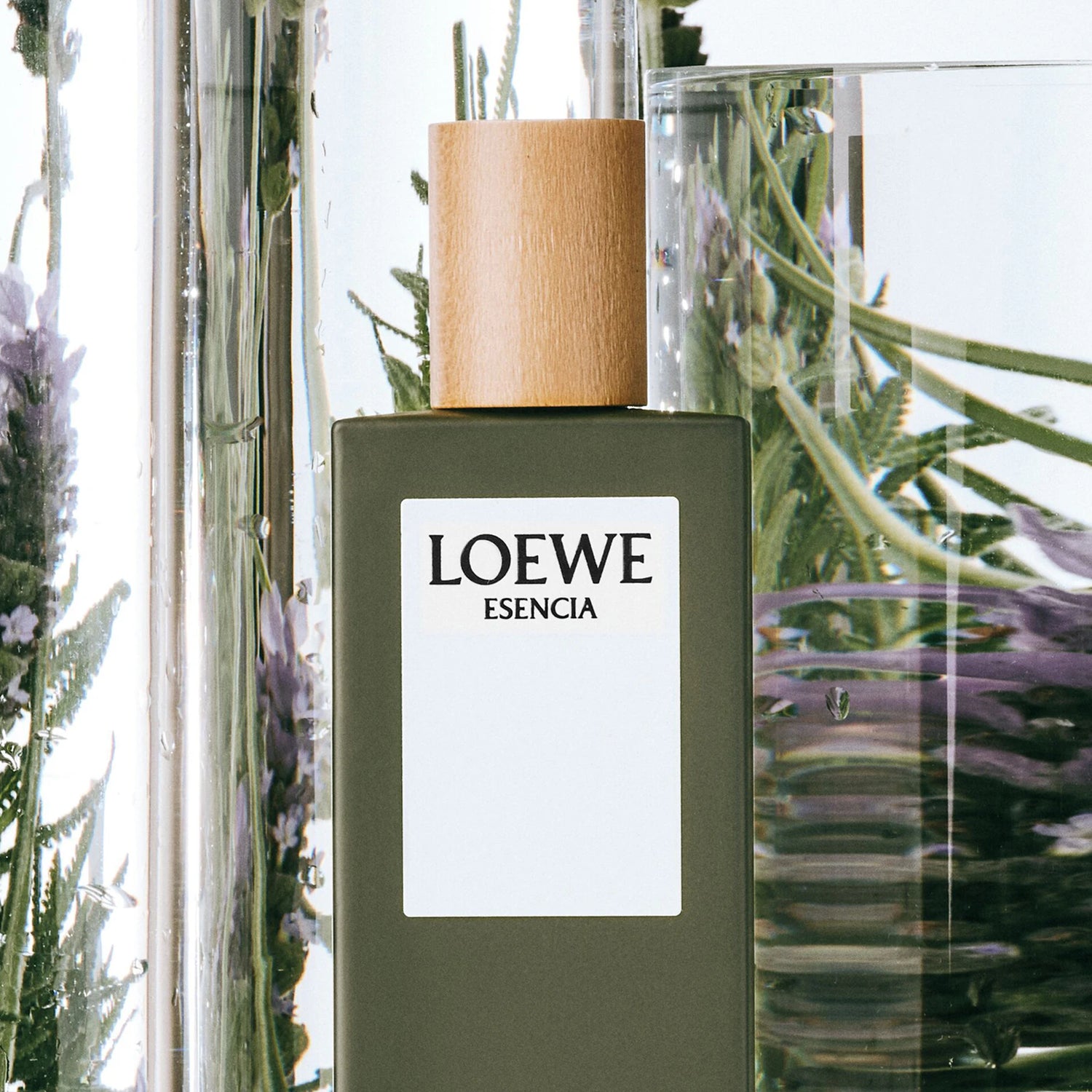 Loewe Esencia Men's Eau de Toilette - 100ml