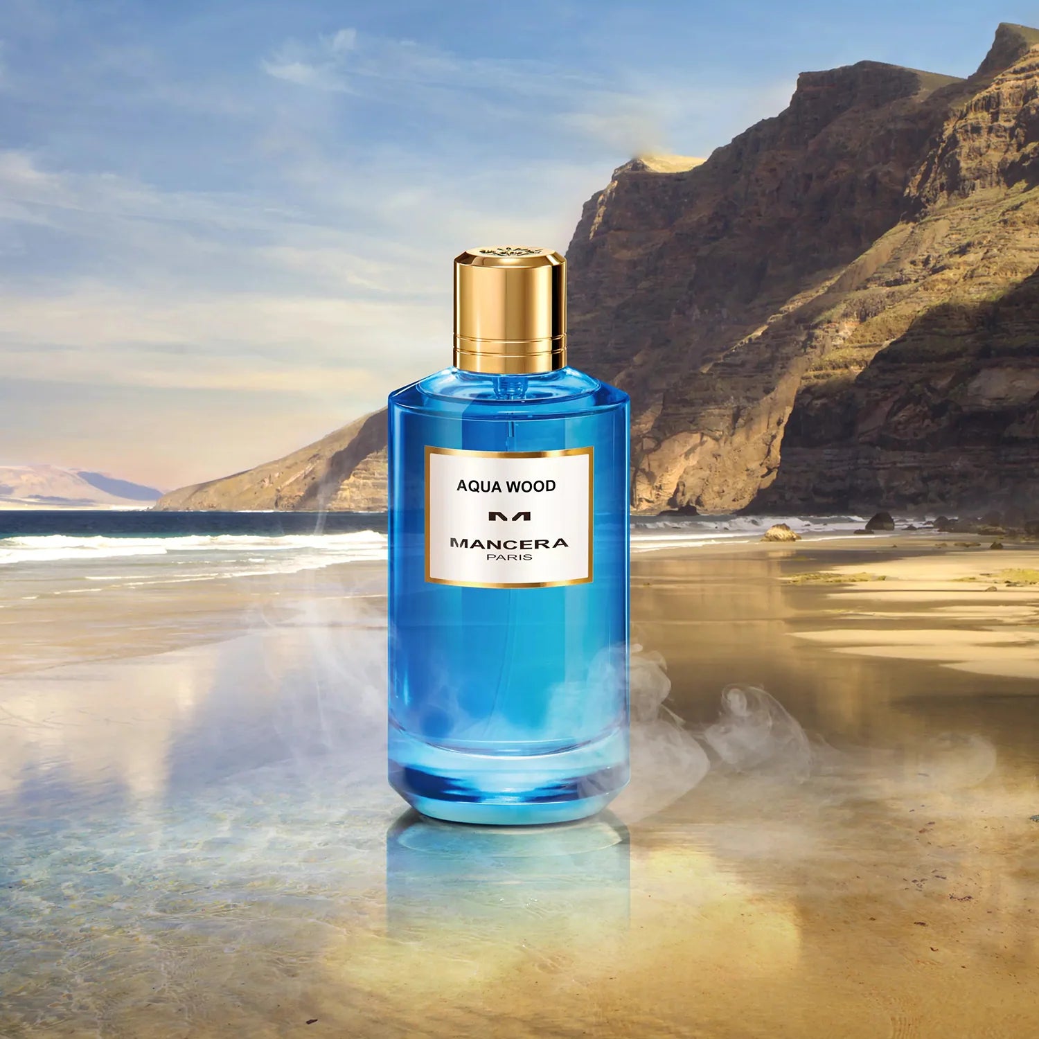 Mancera Aqua Wood Men's Eau de Parfum - 120ml