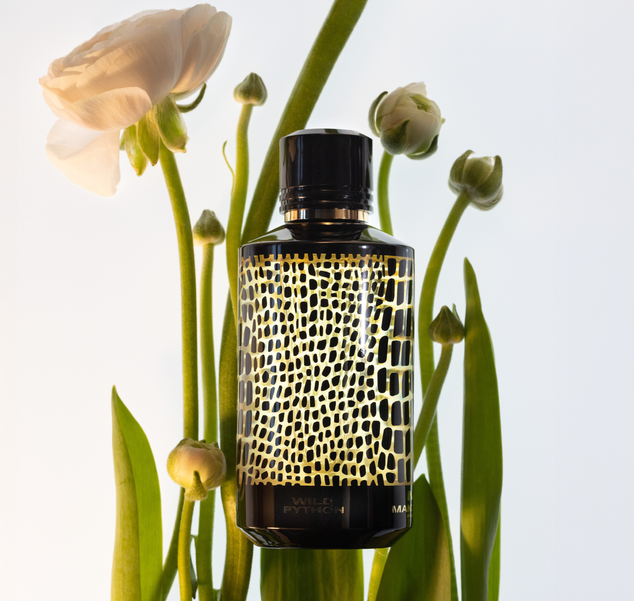 Mancera Wild Python Women's Eau de Parfum - 120ml