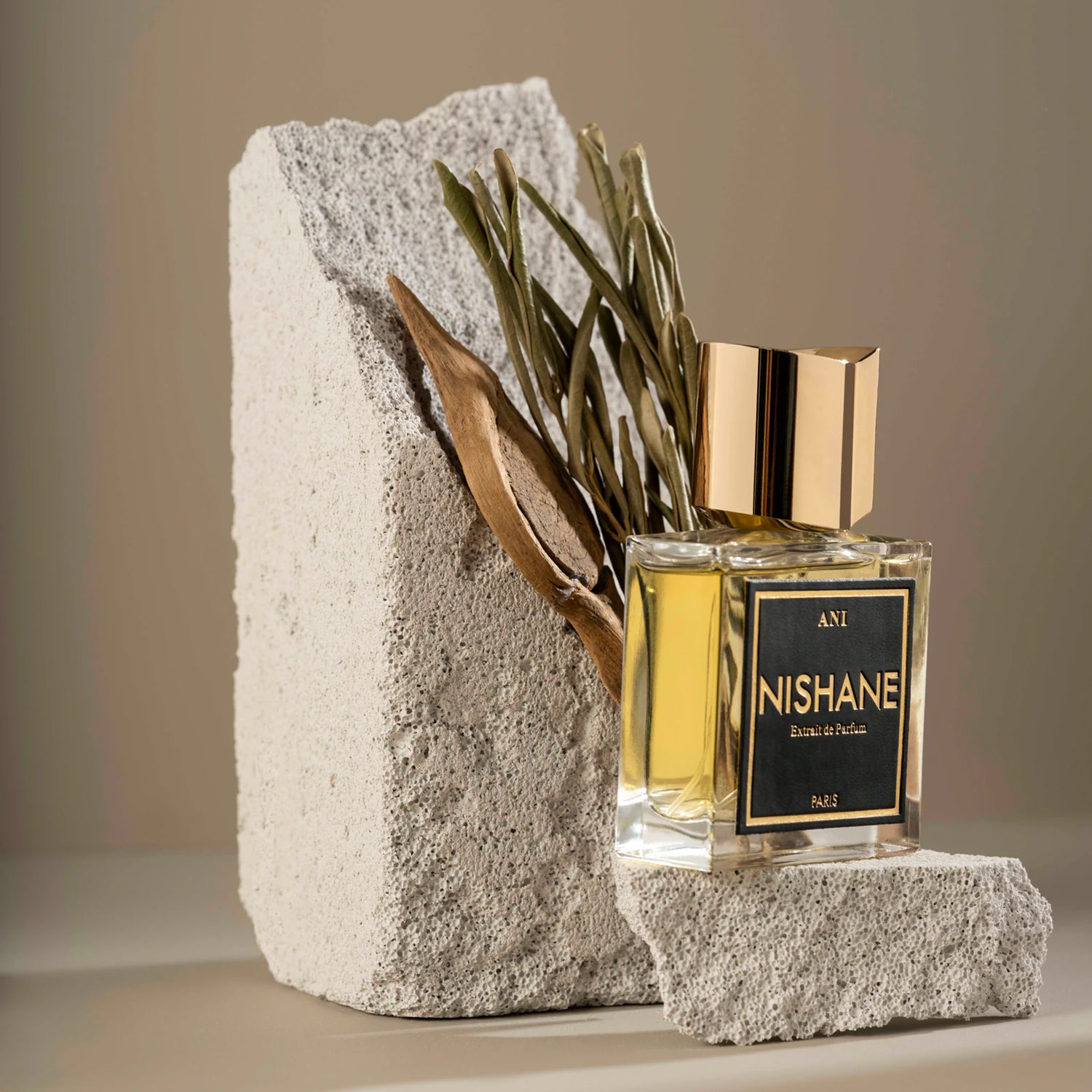 Nishane Ani Unisex Extrait de Parfum - 50ml