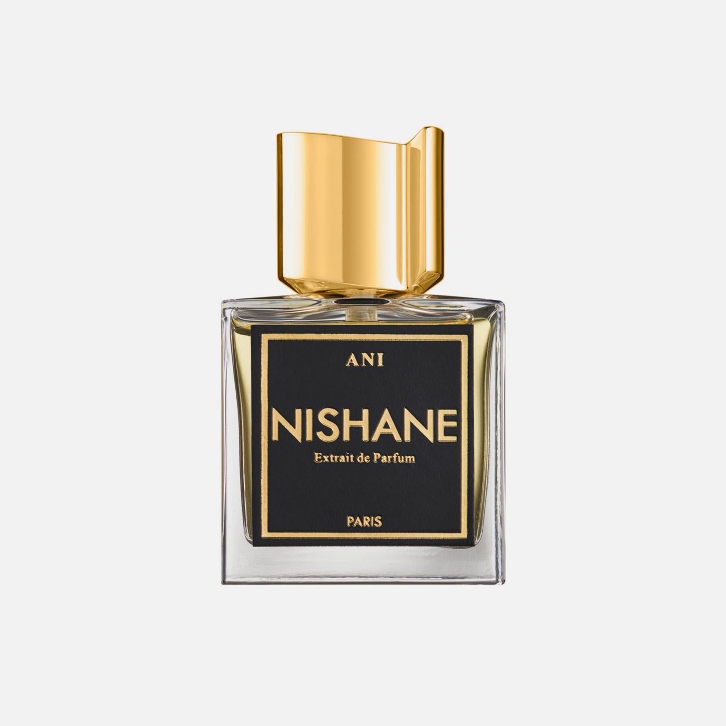 Nishane Ani Unisex Extrait de Parfum - 100ml – bottle