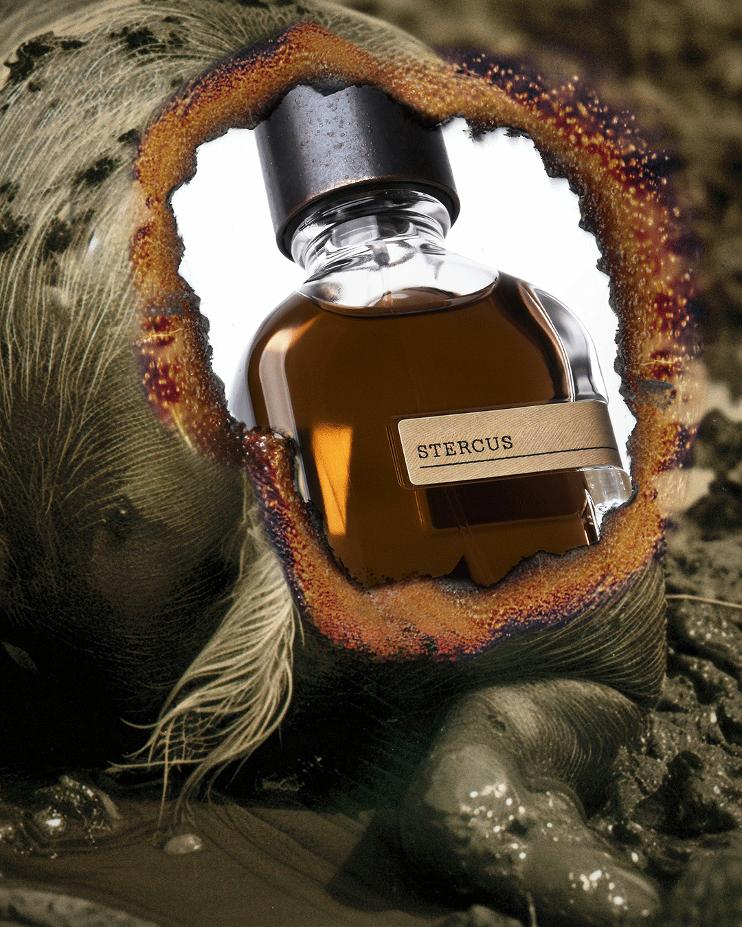 Orto Parisi Stercus Unisex Extrait de Parfum - 50ml