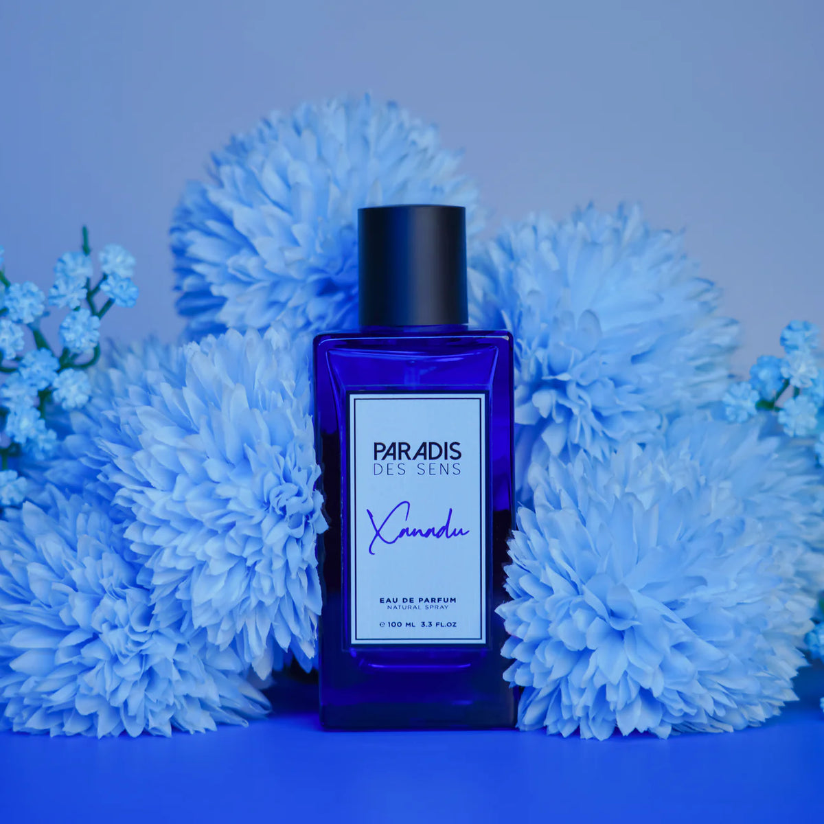 Paradis Des Sens Xanadu Unisex Eau de Parfum - 100ml