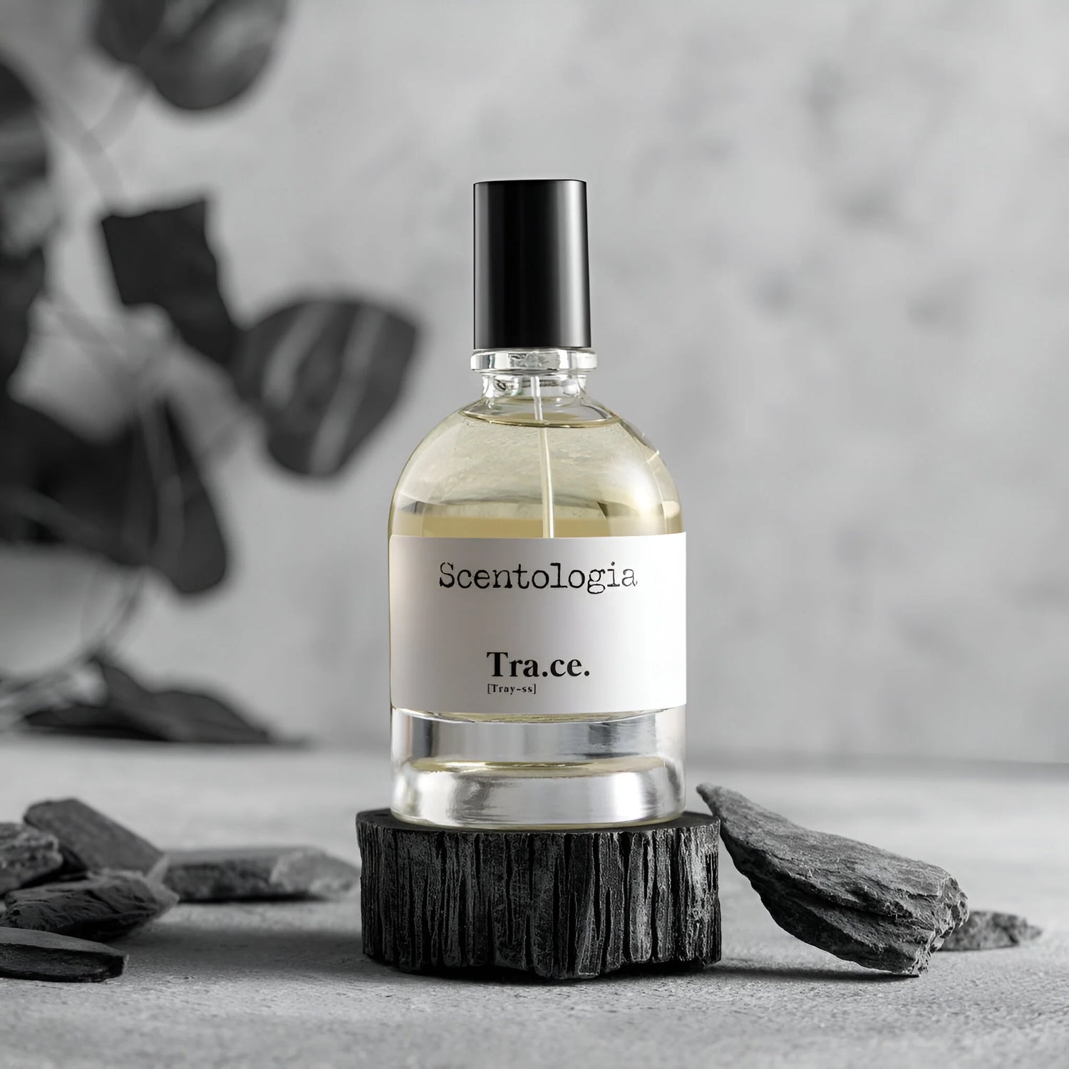 Scentologia Tra.ce. Unisex Eau de Parfum - 100ml