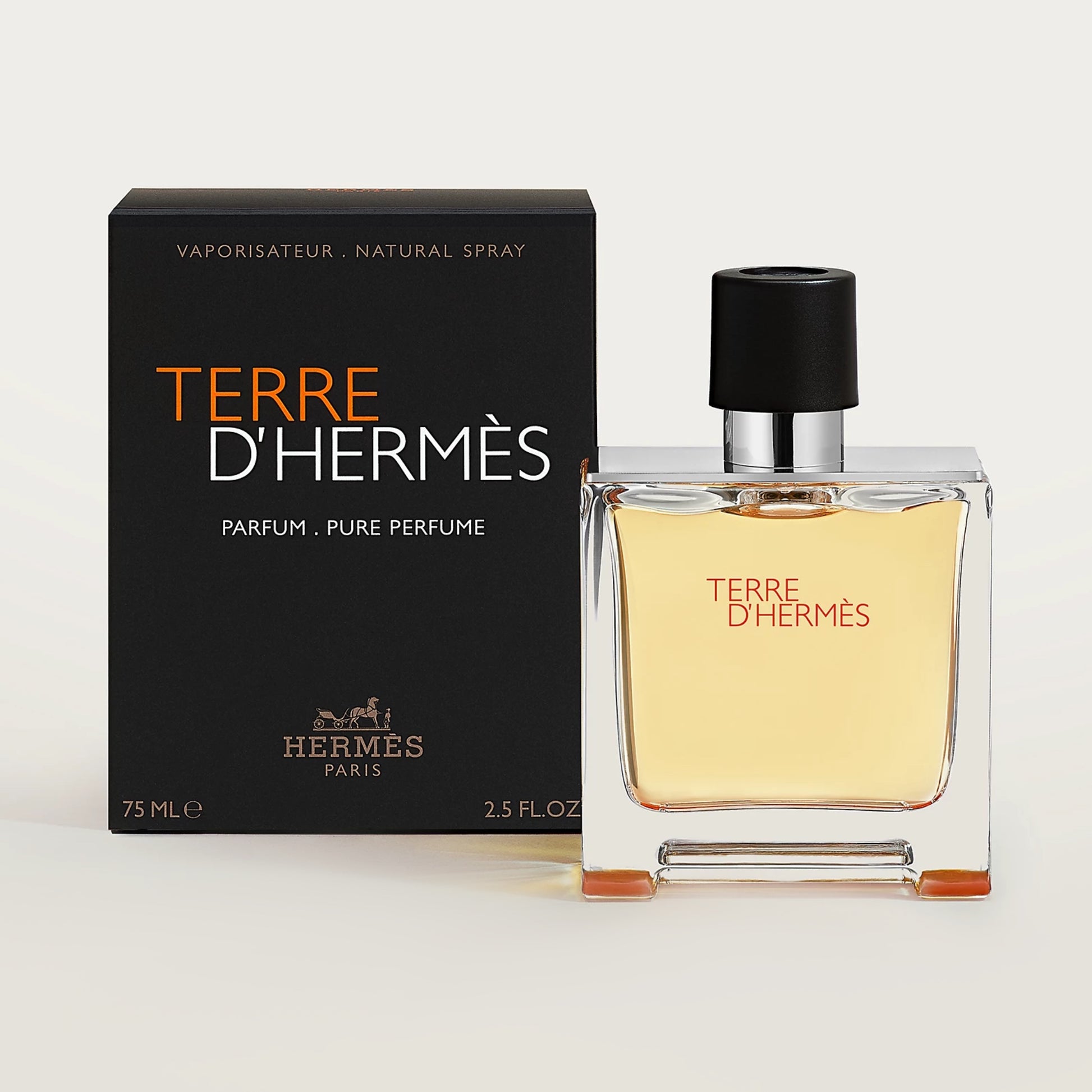 Hermès Terre d'Hermès Men's Parfum - 75ml – alternate view