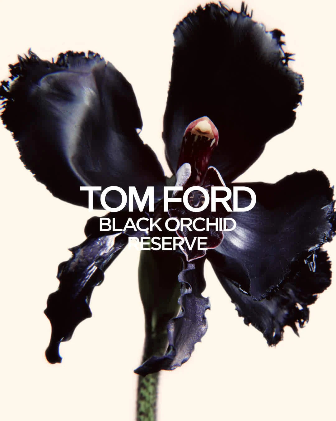 Tom Ford Black Orchid Reserve Unisex Parfum - 100ml