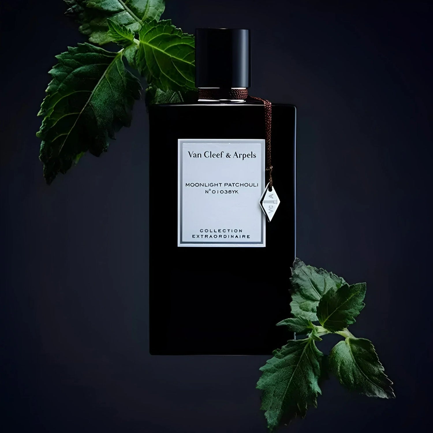 Van Cleef & Arpels Moonlight Patchouli Unisex Eau de Parfum - 75ml