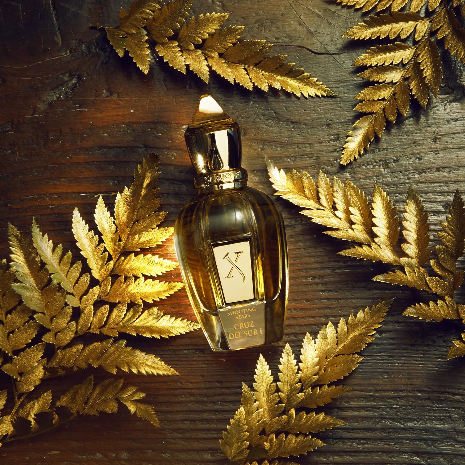 Xerjoff Cruz del Sur I Unisex Extrait de Parfum - 50ml