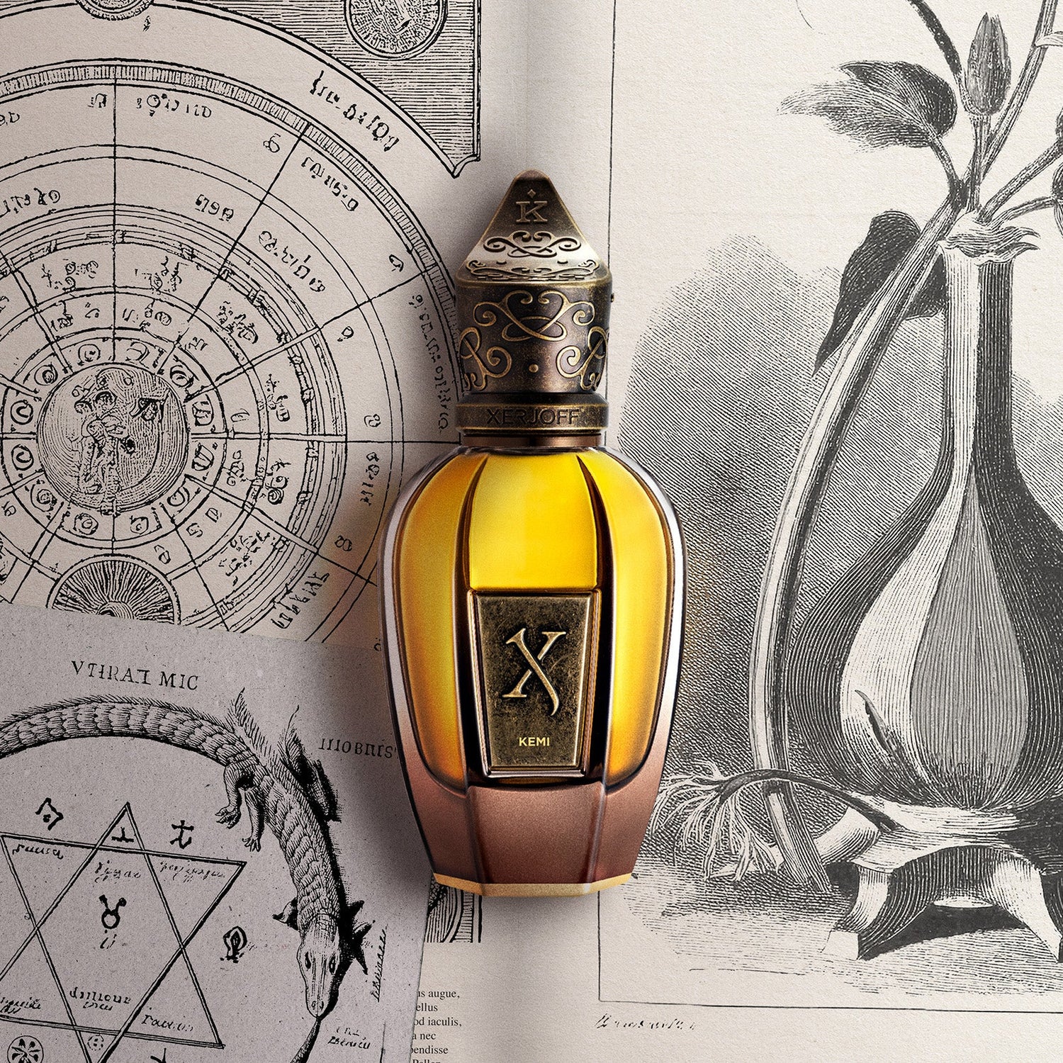 Xerjoff Kemi Unisex Extrait de Parfum - 50ml